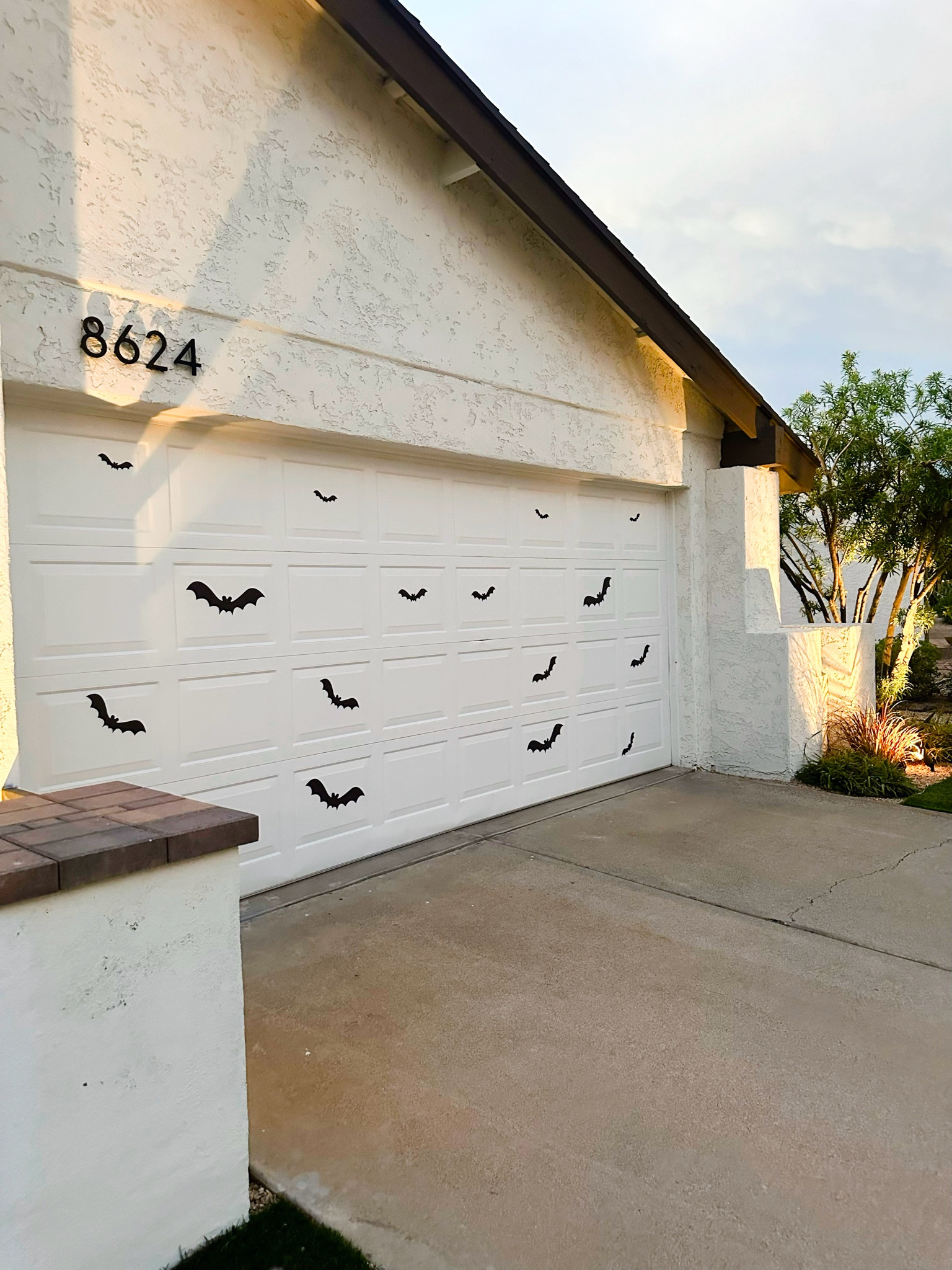 It’s never too early for Fall and Halloween decor 🎃

#bats #falldecor #halloween 

#LTKSeasonal #LTKFallSale #LTKStyleTip