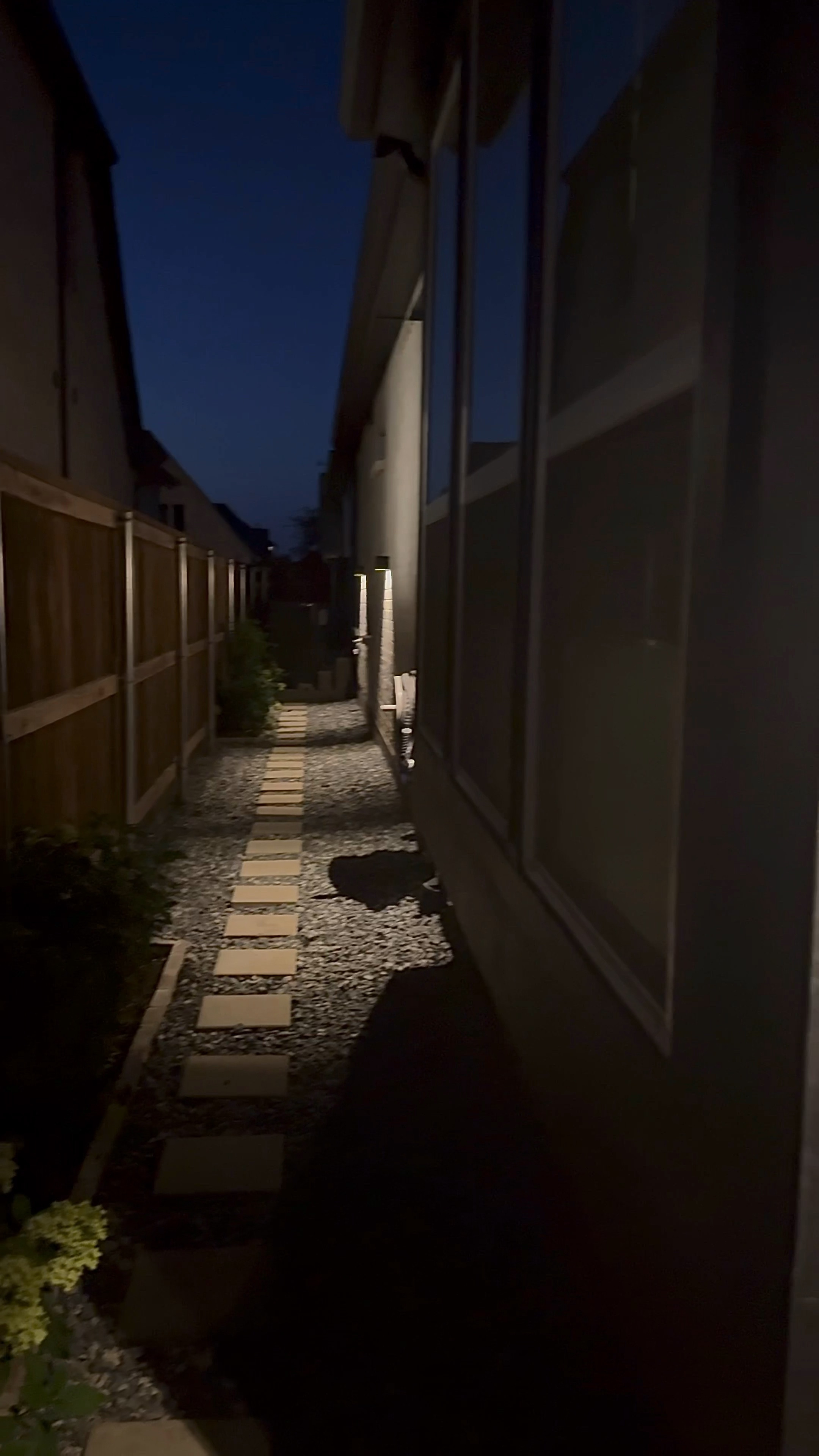 Best Amazon solar lights 

#LTKStyleTip #LTKFindsUnder50 #LTKHome