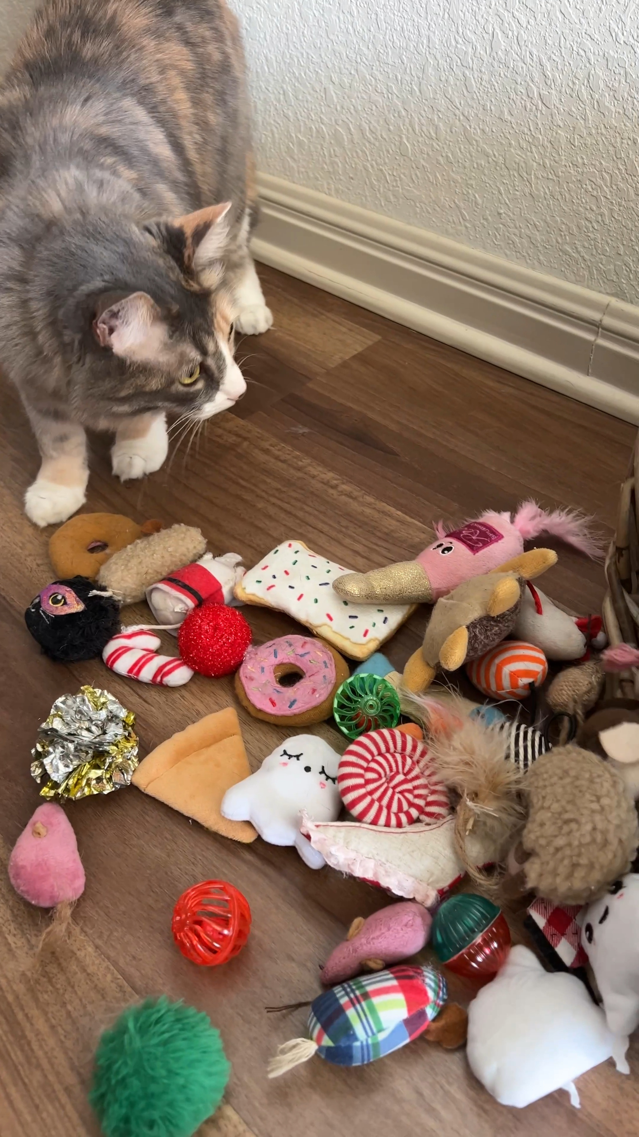 all the cat toys 🧸 

#LTKunder50 #LTKGiftGuide #LTKhome