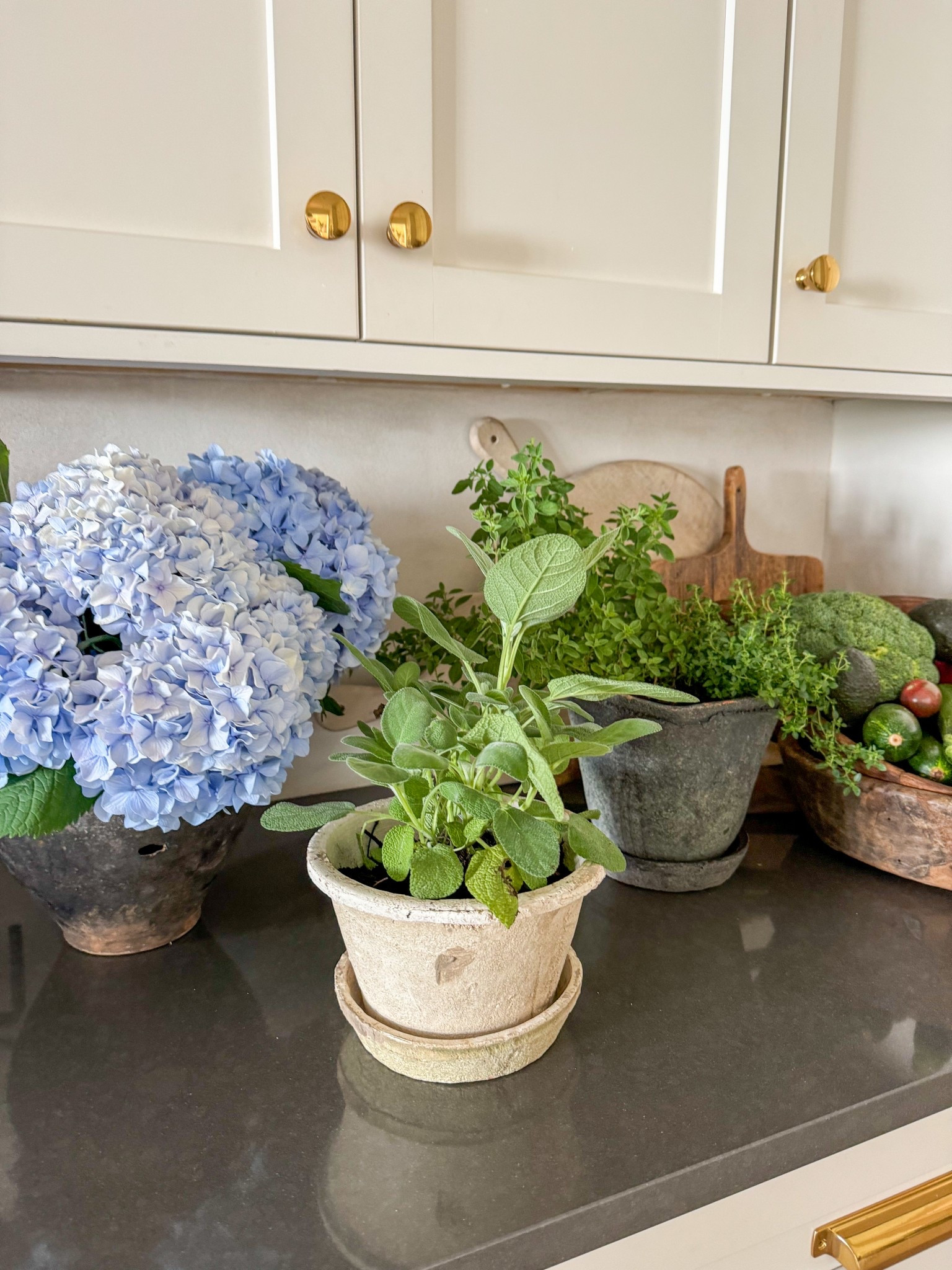 Loving all the planters 

#LTKSummerEdit #LTKHome