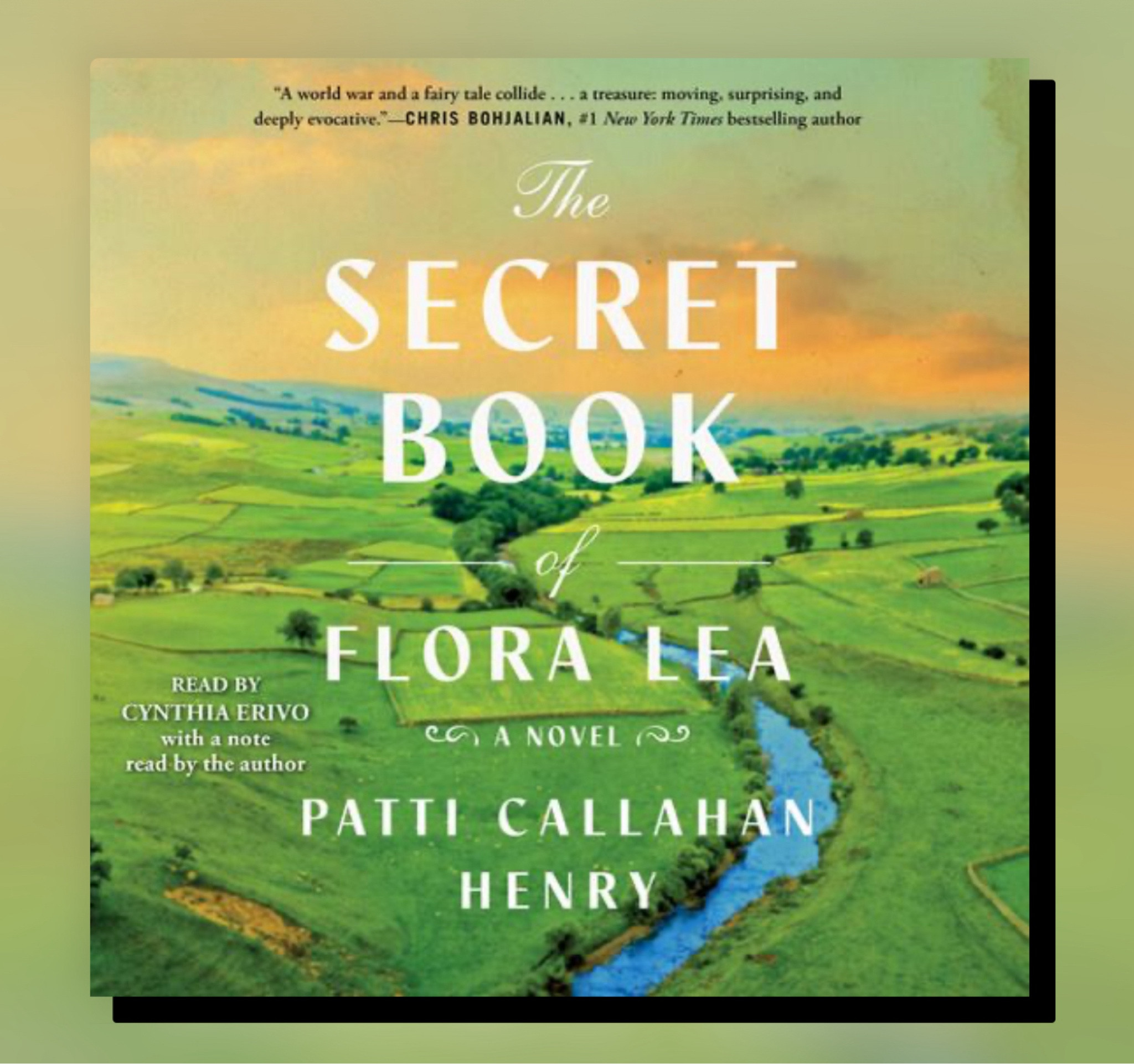 This book was so good! One of the best ones I’ve read this year. Great summer read as it’s easy but full of twists and turns. 

#LTKSeasonal #LTKtravel #LTKGiftGuide