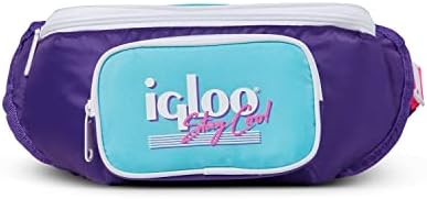 Igloo 90s Retro Collection Fanny Pack Portable Cooler with Front Pocket and Adjustable Waist Stra... | Amazon (US)