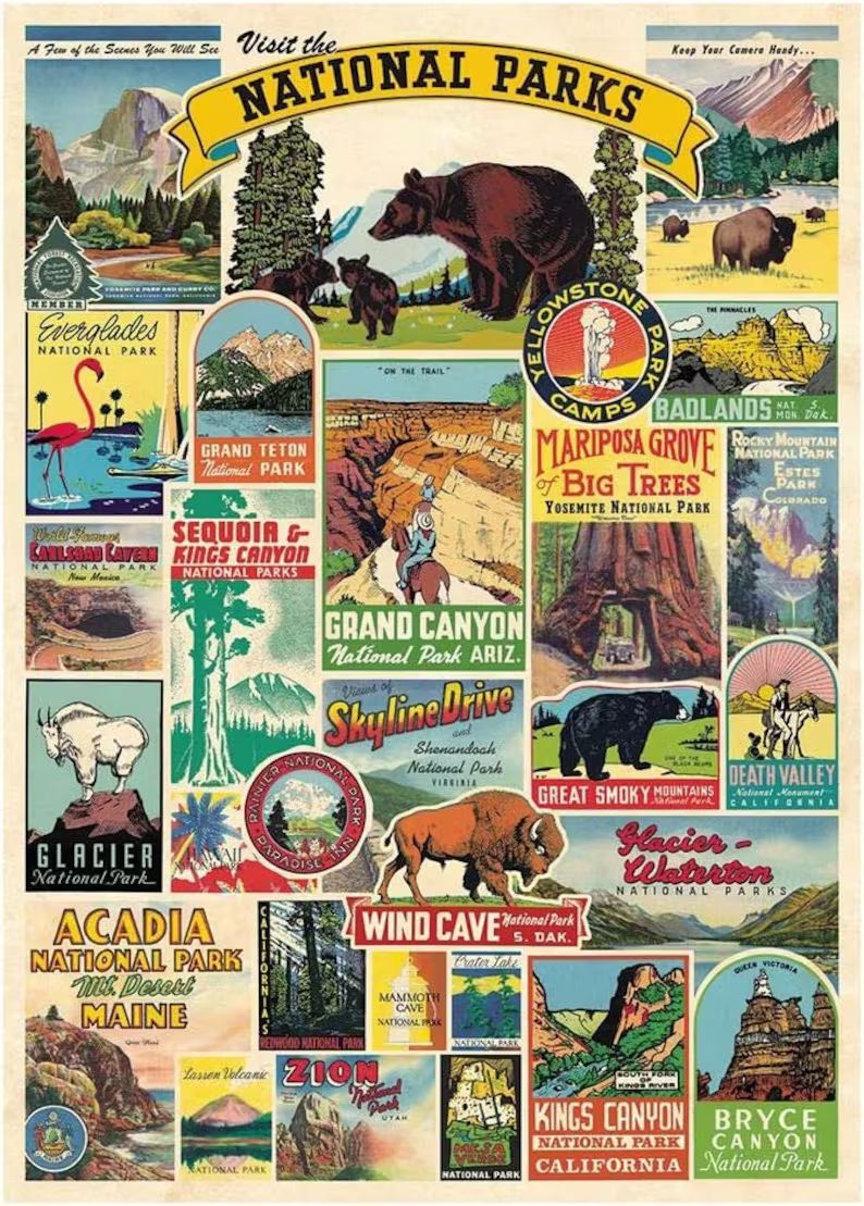 Vintage National Parks Wrap Sheet Cavallini & Co. National - Etsy | Etsy (US)