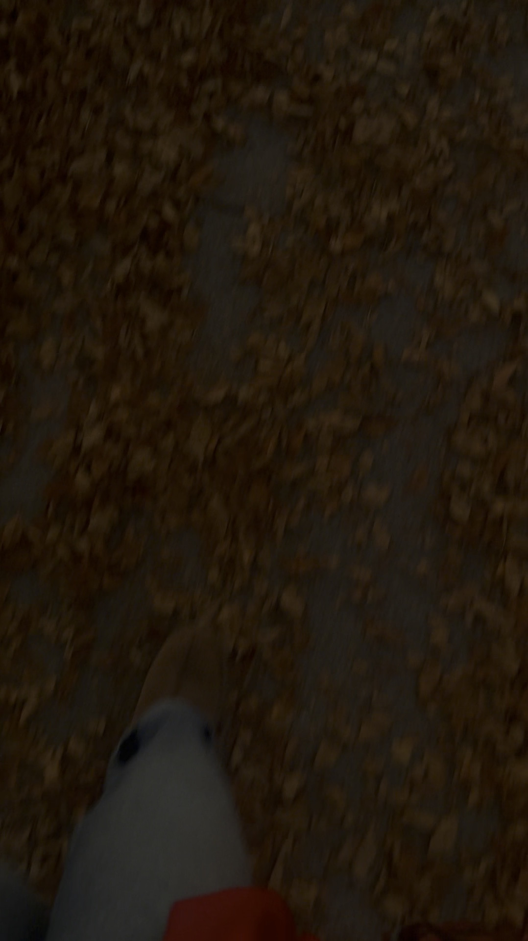 My third fall with these Uggs and still one of the favorite things I own. I buy for longevity over trend 