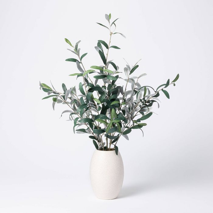 30" x 24" Artificial Olive Plant Arrangement in Pot - Threshold™ designed with Studio McGee | Target