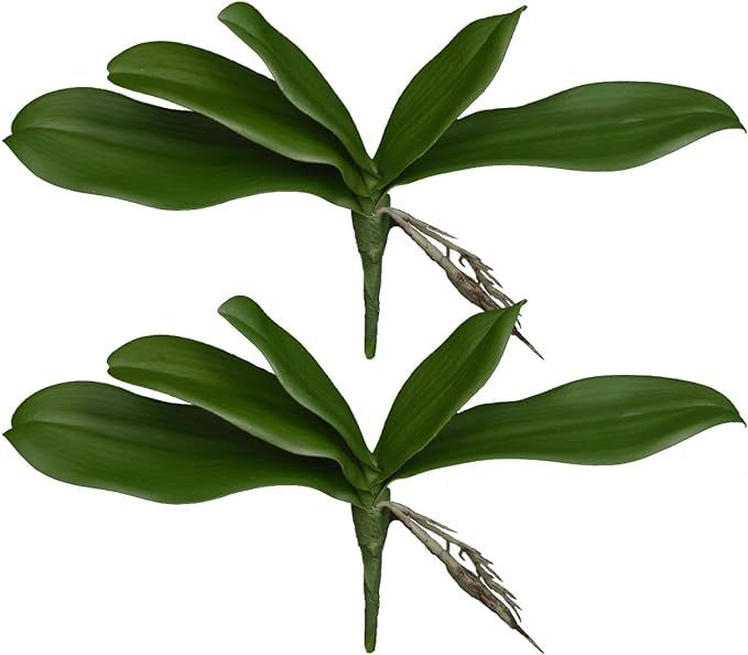 Amazon.com: W&W Artificial Orchid Plants, Fake Faux Orchid Leaves, 12", Real Touch, 2 pcs : Home ... | Amazon (US)