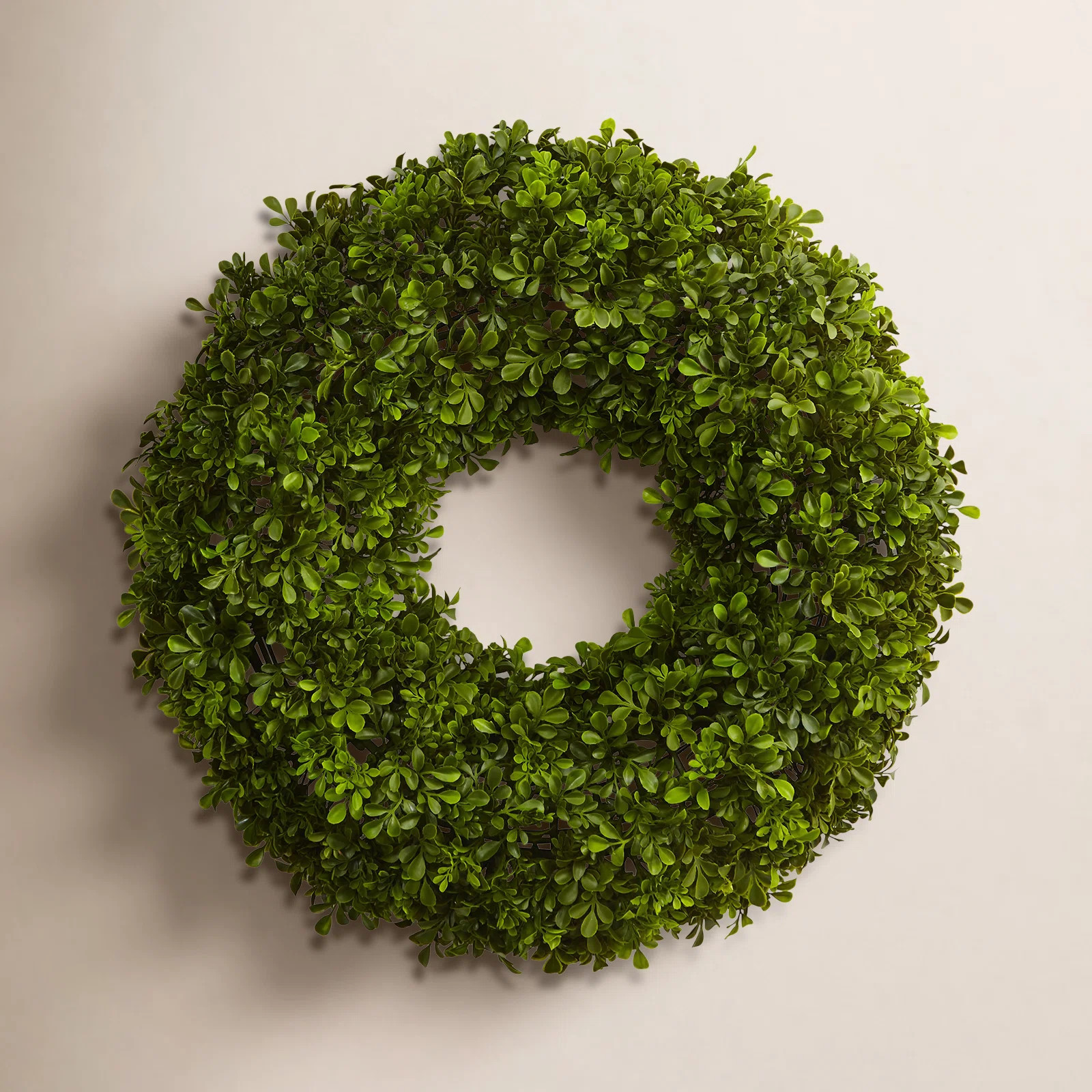 22'' Faux Boxwood Plastic Wreath | Birch Lane