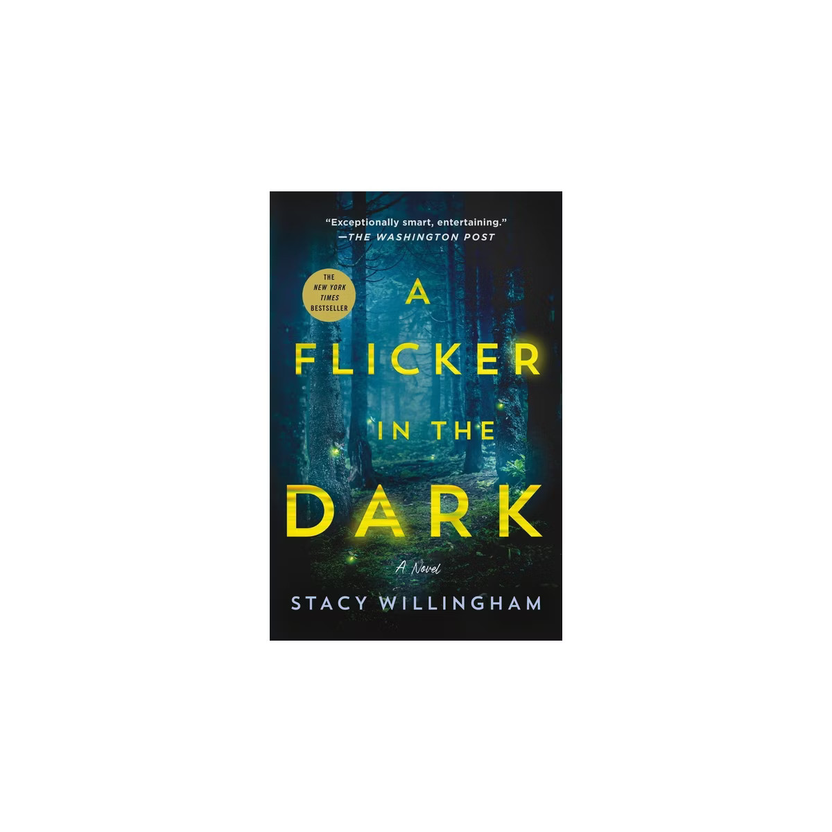 A Flicker in the Dark - by Stacy Willingham | Target