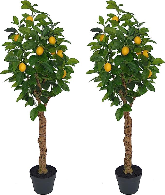 AMERIQUE Pair 4 Feet Gorgeous & Lifelike Six-Branch Artificial Trees with Various Size Lemon Frui... | Amazon (US)