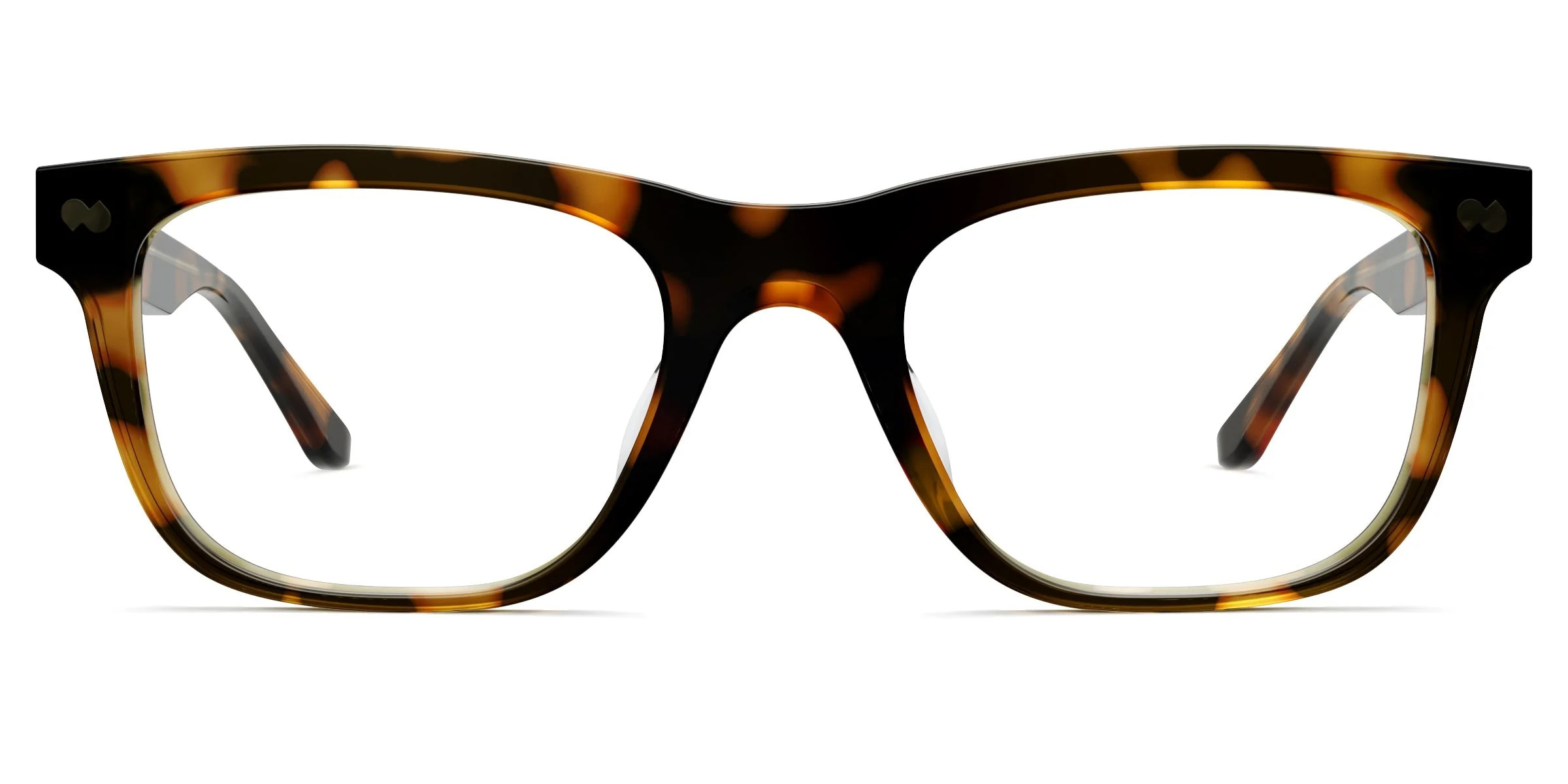 The Jessie - Tortoise | Pair Eyewear