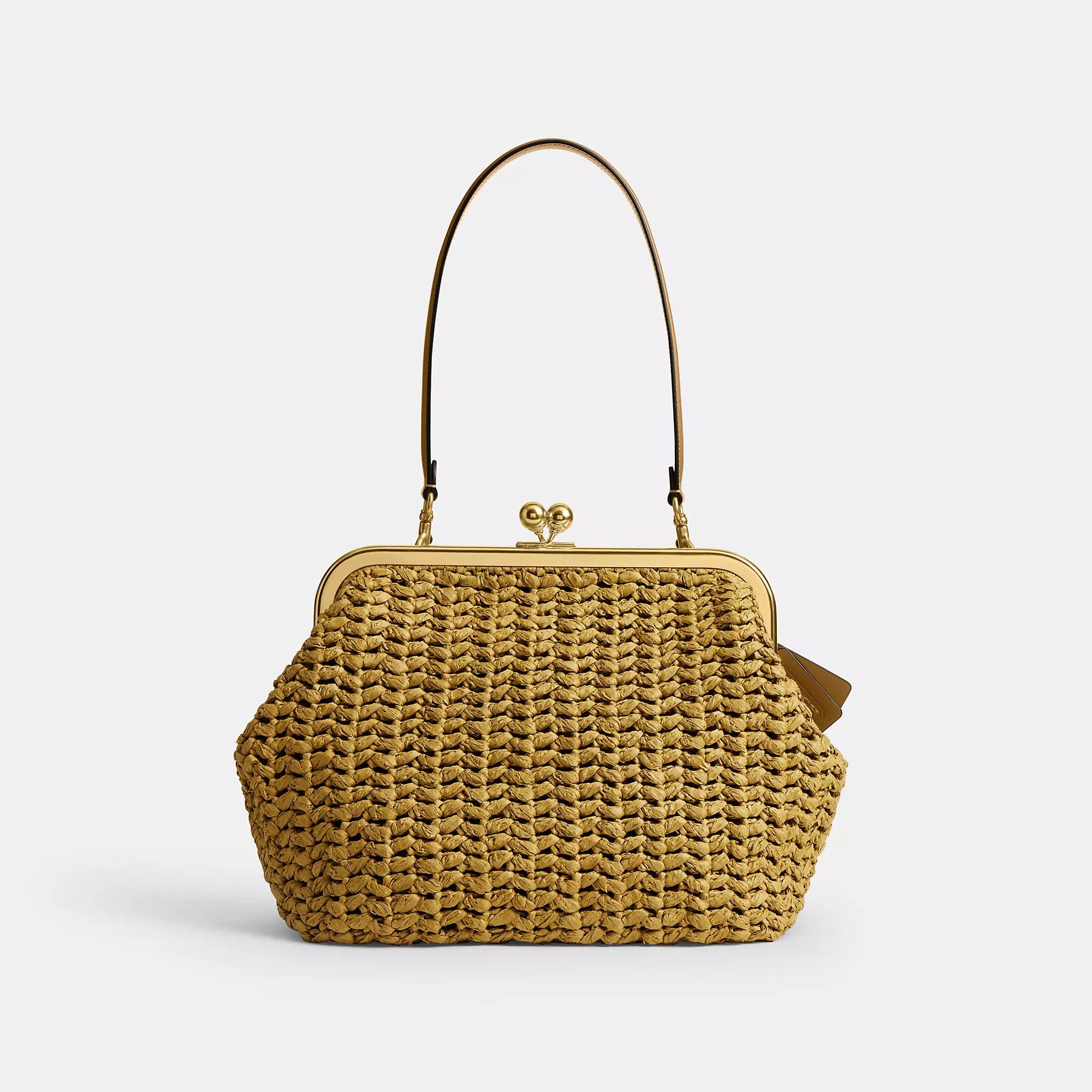 Kisslock Frame Bag 27 | Coach (US)