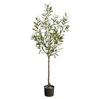 5ft. Potted Olive Tree | Michaels Stores