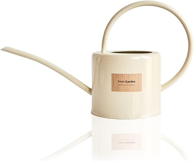 BFA Plant Watering Can Indoor Plants1.75L(0.7gal) I Garden Watering Can for Outdoor Plants I Cute... | Amazon (US)