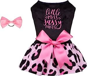 CuteBone Little Miss Sassy Pants Dog Leopard Print Dress Velvet for Small Dogs Girl Puppy Dresses... | Amazon (US)