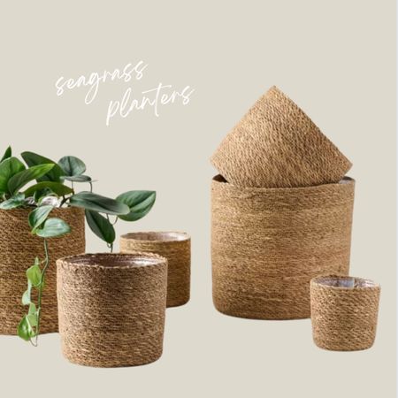I love these planters!

Woven outdoor planters, Seagrass planters, rattan, outdoor pots, outdoor decor, plants

#LTKHome #LTKSeasonal