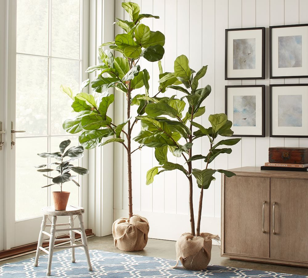 Faux Potted Fiddle Leaf Fig Trees | Pottery Barn (US)