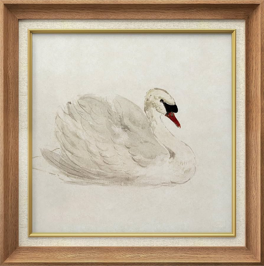 MUDECOR Premium Framed Wall Art White Swan Bird Animal Portrait Nature Wilderness Vintage Illustr... | Amazon (US)