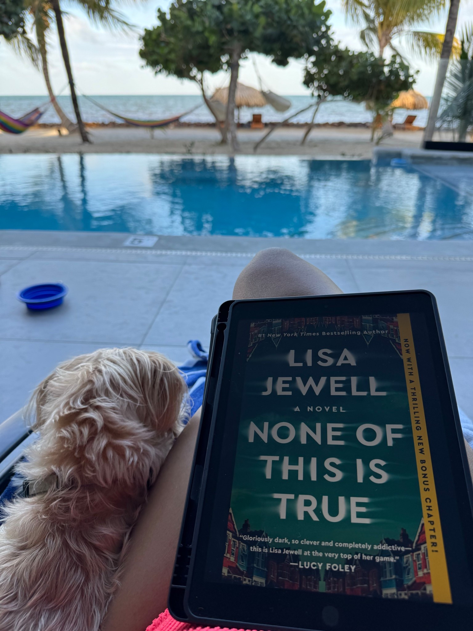 Poolside read - None of This Is True. A captivating thriller that I finished within days. Perfect summer read. Book idea.

#LTKTravel