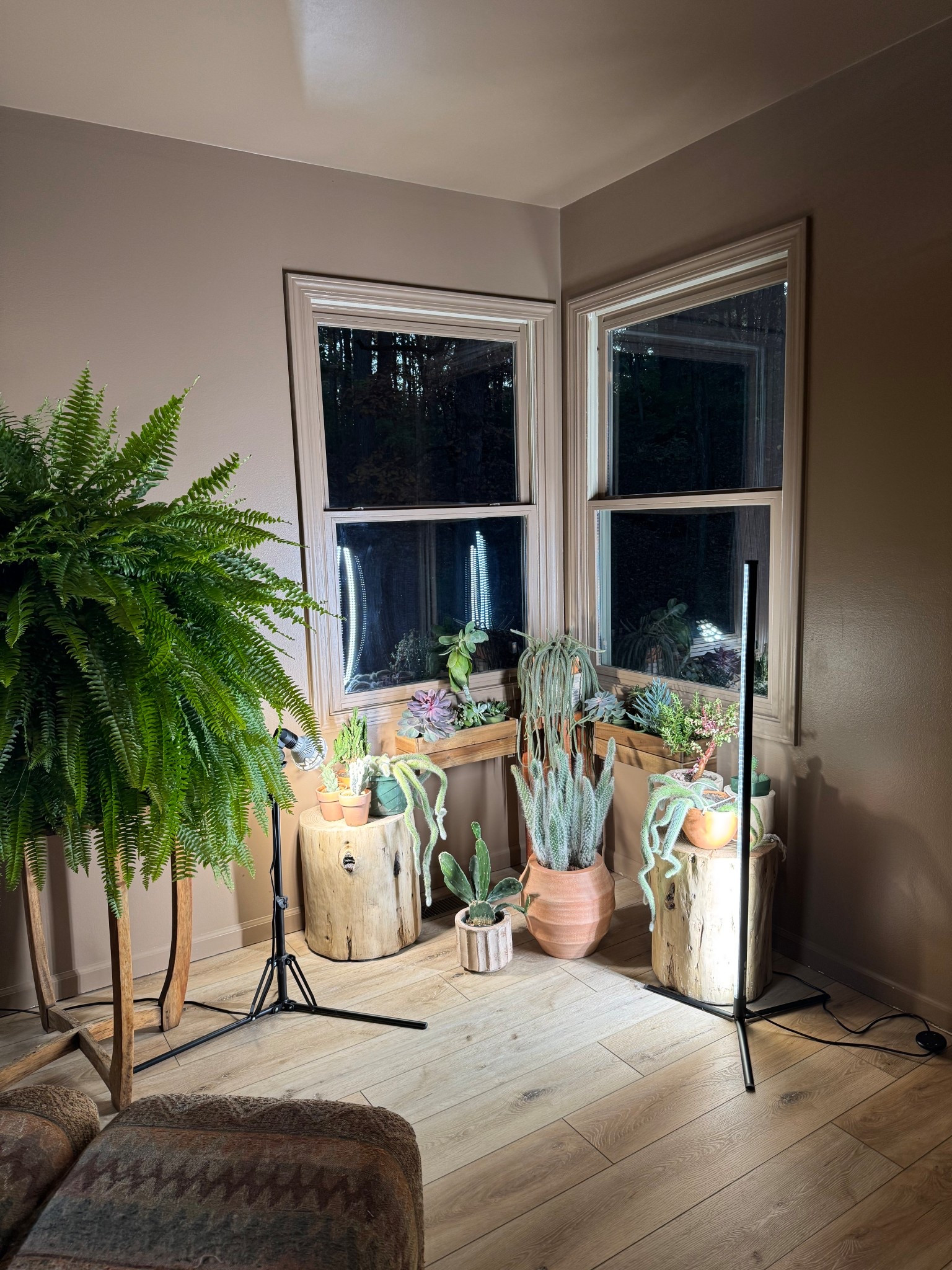 Window boxes inside 🌵🌱🪴

Plants, plant decor, planters 

#LTKSeasonal #LTKHome #LTKU