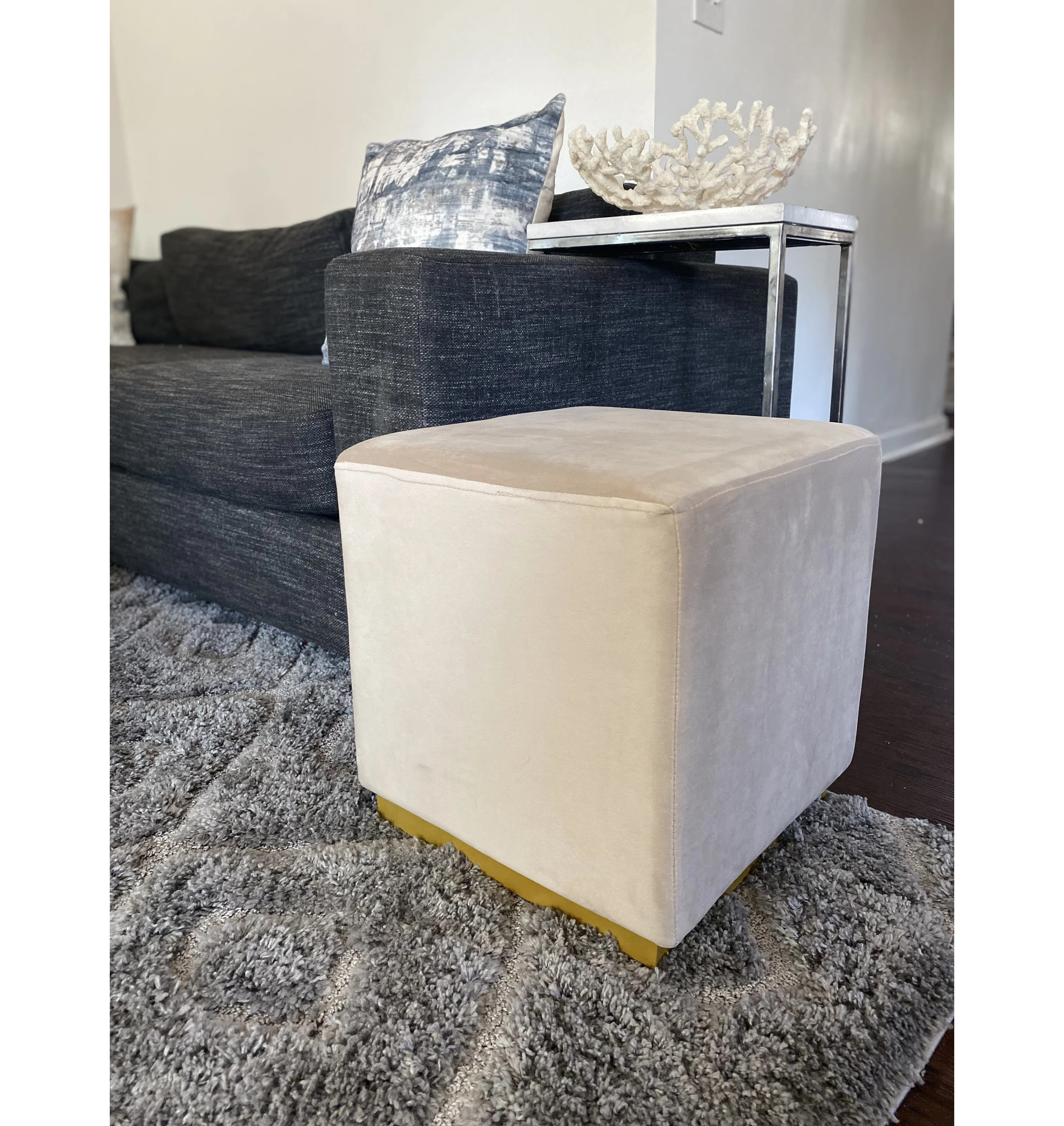 Alanieta Velvet Ottoman | Wayfair North America