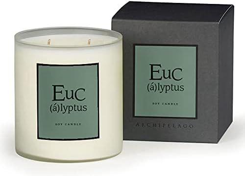 Archipelago Botanicals Eucalyptus Boxed Candle. Rejuvenating Scent of Eucalyptus, Fir Needles and Gr | Amazon (US)