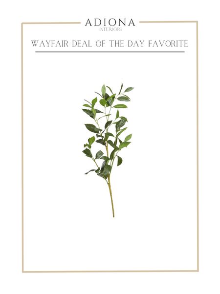 Wayfair deal of the day favorite 

Faux stem, leaf stem, bay leaf faux stem 

#LTKsalealert #LTKSeasonal #LTKhome