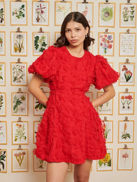 DREAM Doris Floral Mini Dress | Sister Jane (UK)