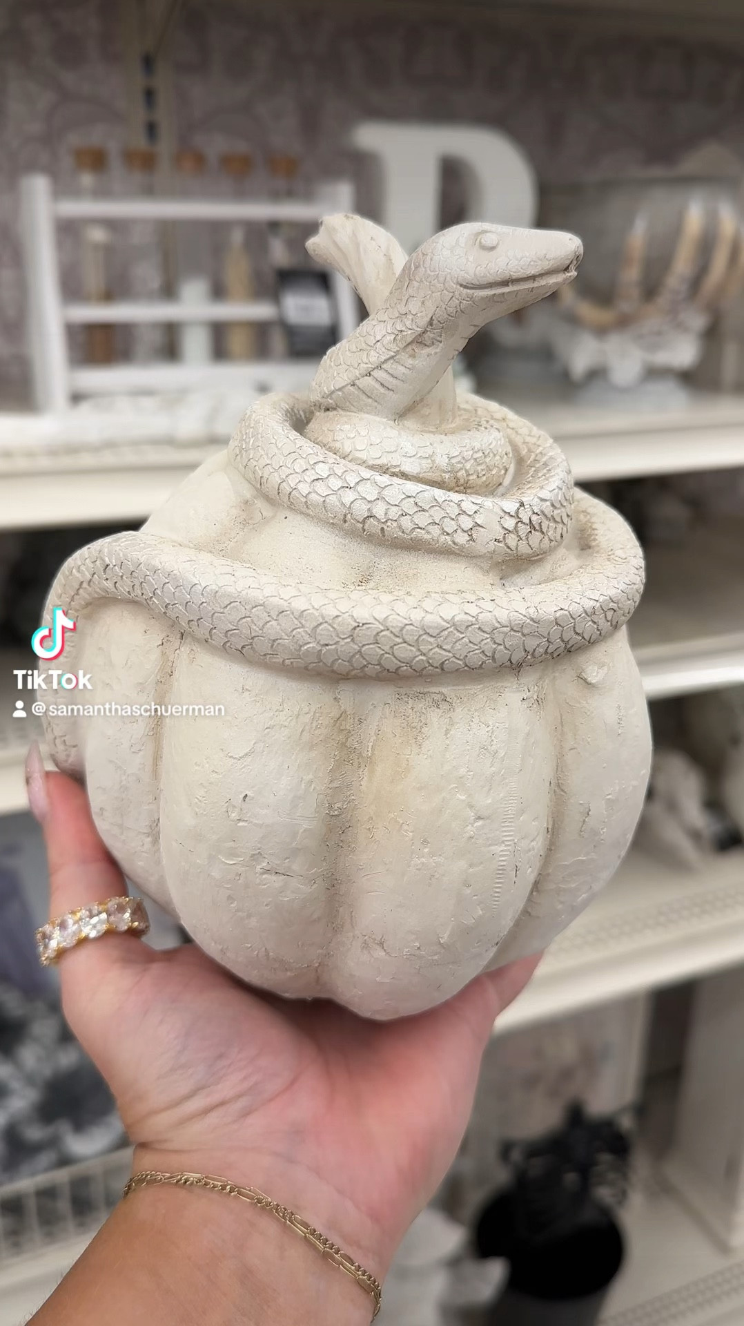 Fall and Halloween decor at Michael’s And it’s all on sale  

#LTKHome #LTKSeasonal #LTKFallSale