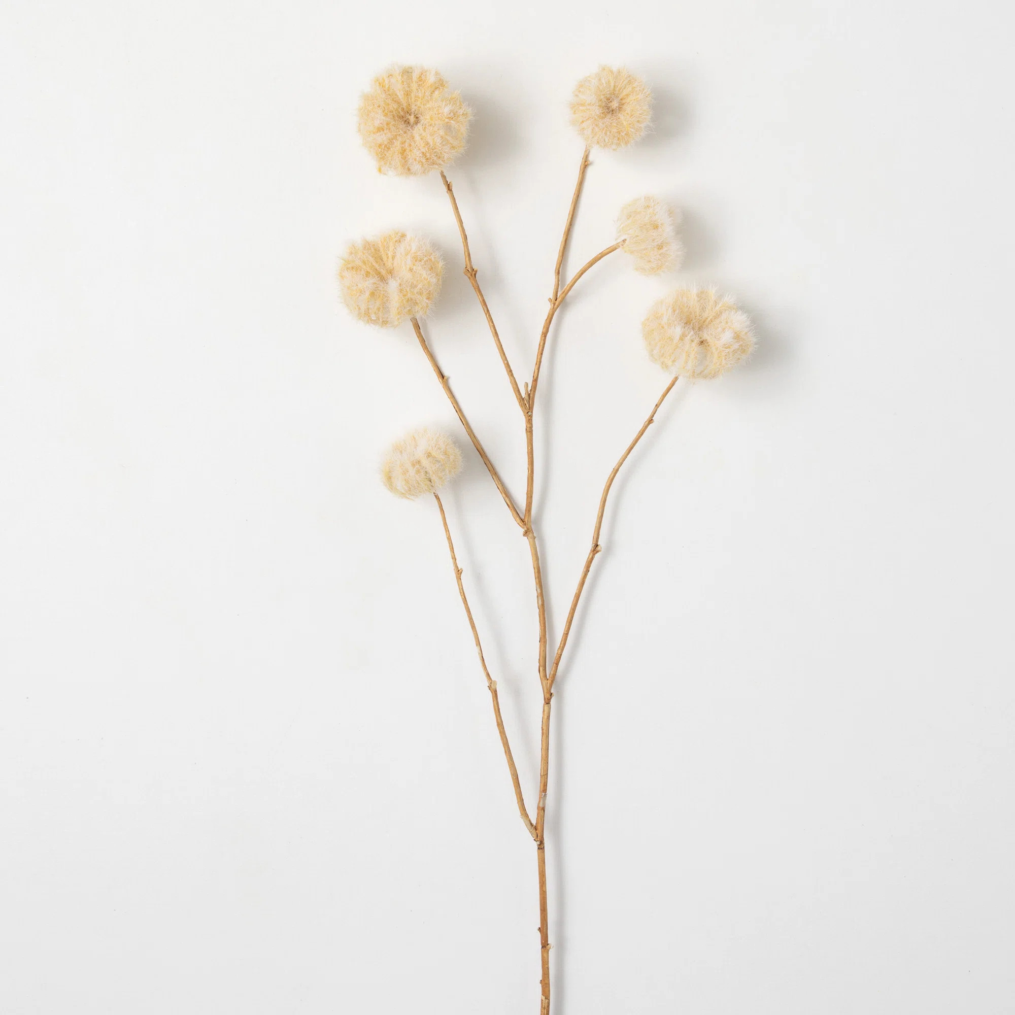 Madie Pod Arrangement | Wayfair North America