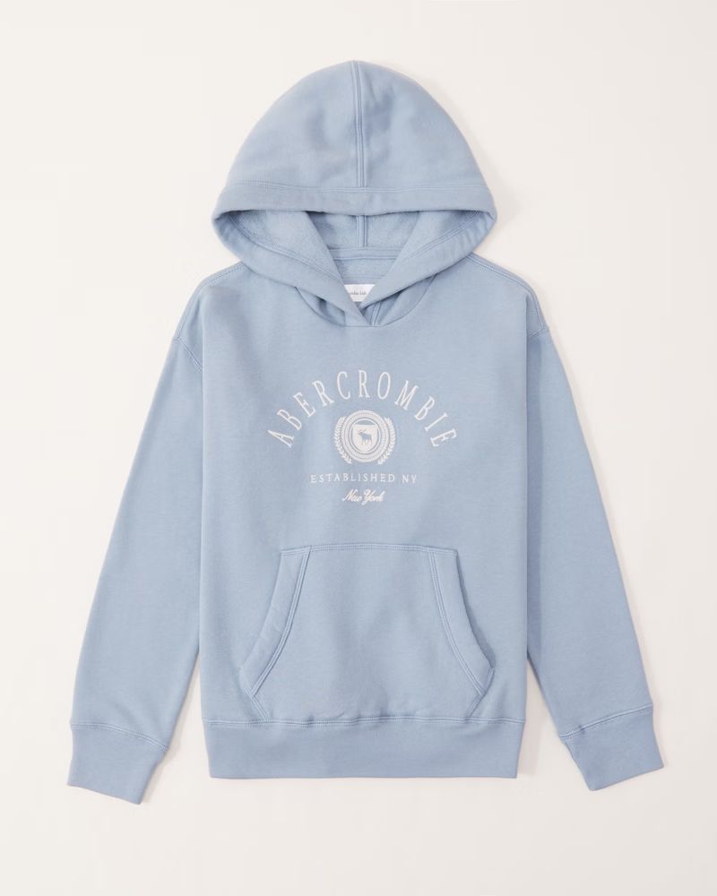 embroidered logo hoodie | Abercrombie & Fitch (US)