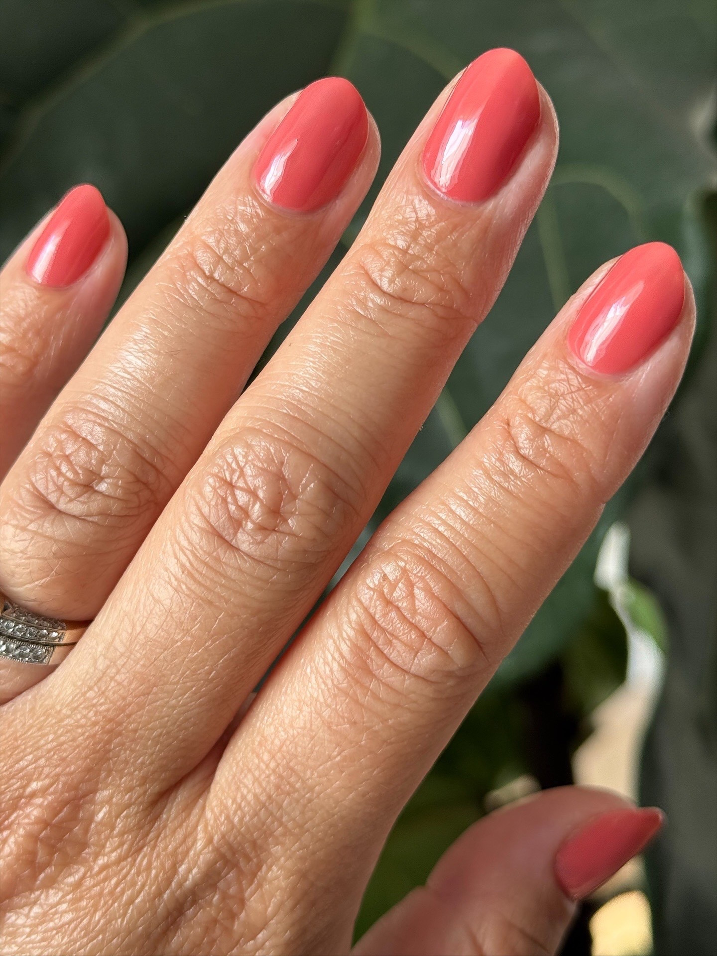 Boysenberry Glass is a gorgeous pink jelly that is quite literally perfect for fall! Bonus it paints so easily and will have you smiling all day looking at your nails 💅

Fall nails, wedding guest nails, fall mai, pink mani, sheer mani, at home mani, nails at home, olive & June 

#LTKBeauty