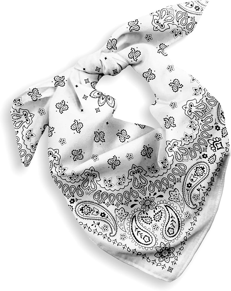 Gift Packaging Bandana for Men Women - 100% Cotton, Paisley, 22x22 In, 1 Pack - Large Bandanna Ha... | Amazon (US)