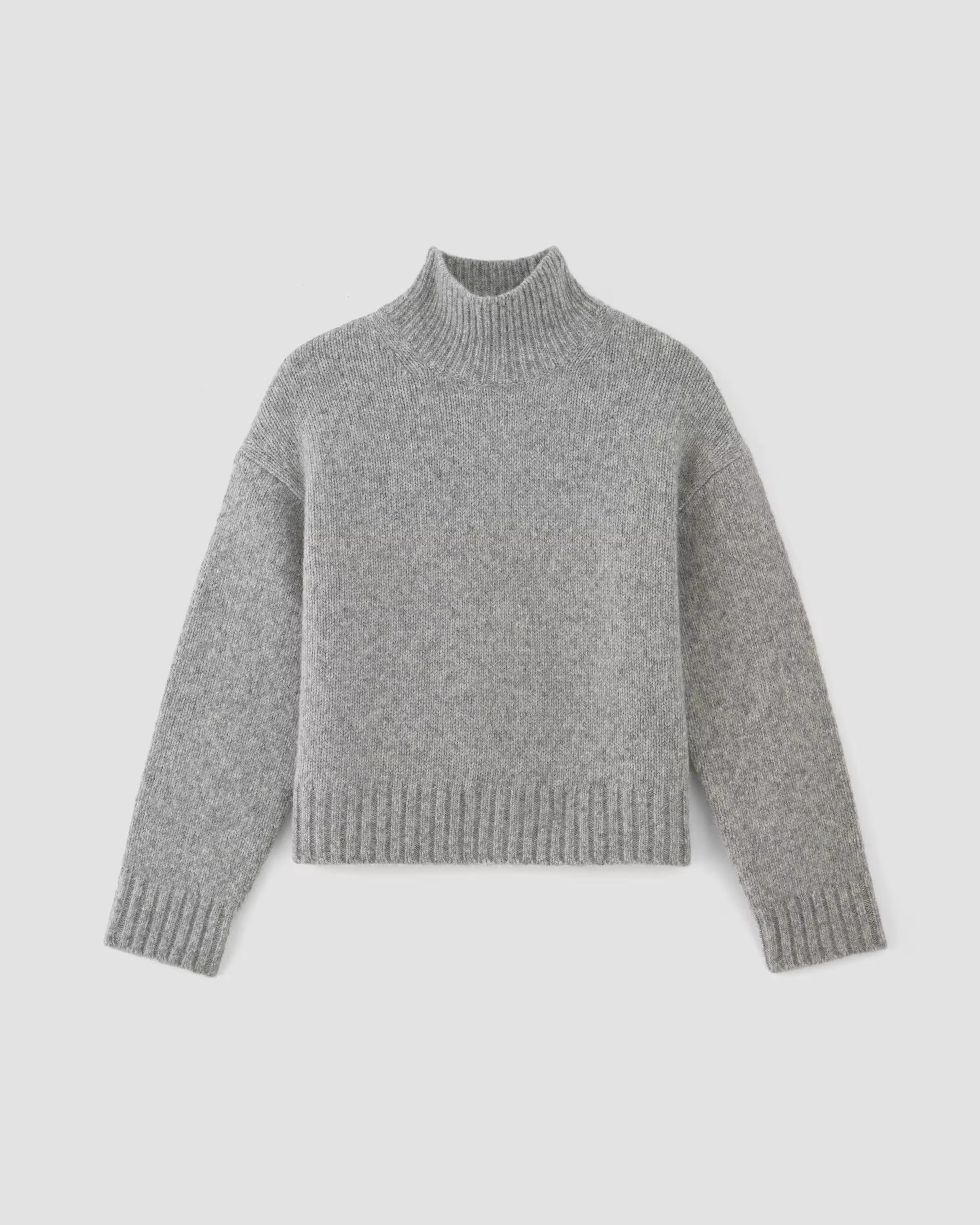 The Cloud Oversized Turtleneck | Everlane