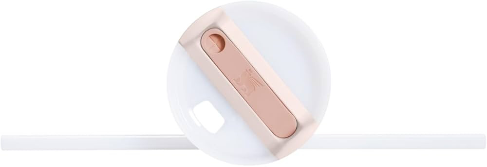 Stanley Quencher H2.0 FlowState Stainless Steel Vacuum Insulated Tumbler with Lid and Straw for W... | Amazon (US)