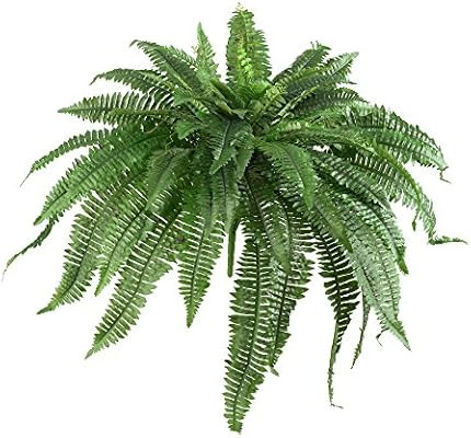 Nearly Natural 6051-S2 48” Boston Fern (Set of 2), 2 Piece | Amazon (US)