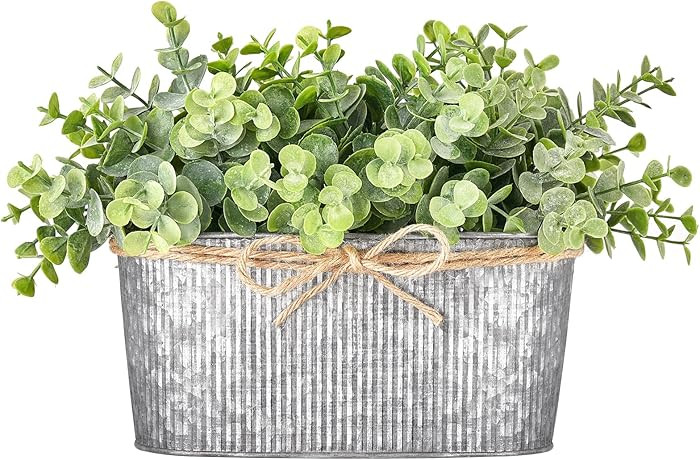 Dahey Artificial Eucalyptus Faux Plants Indoor for Farmhouse Home Decor Fake Potted Plants in Rus... | Amazon (US)