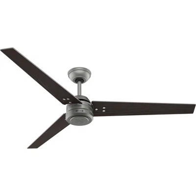 Hunter 60 inch Cassius ENERGY STAR® Damp Rated Ceiling Fan wtih Wall Control | Wayfair North America