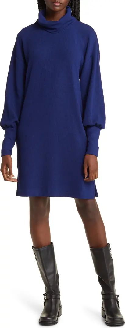 Cozy Knit Long Sleeve Turtleneck Dress | Nordstrom