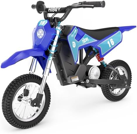 Hiboy DK1 36V Electric Dirt Bike,300W Electric Motorcycle - Up to 15.5MPH & 13.7 Miles Long-Range... | Amazon (US)