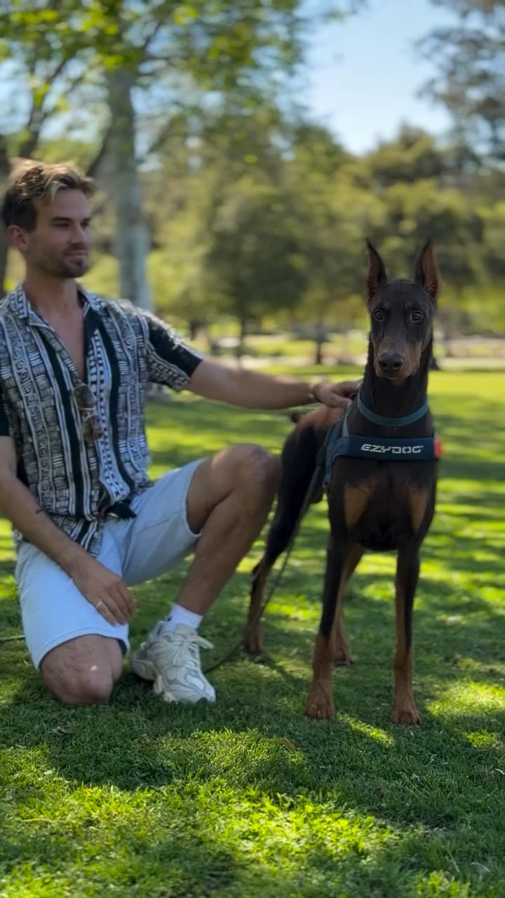 Here’s an easy recall workout that will make your dog actually enjoy coming back to you!

(featuring Major the best red dobie boy 💪🏻)