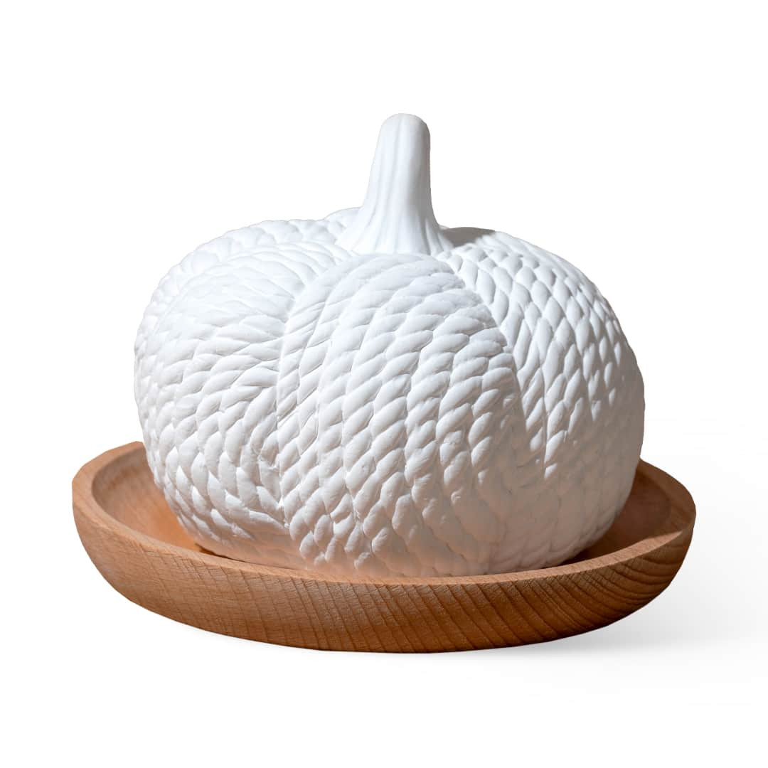 Pumpkin Passive Diffuser | Plant Therapy