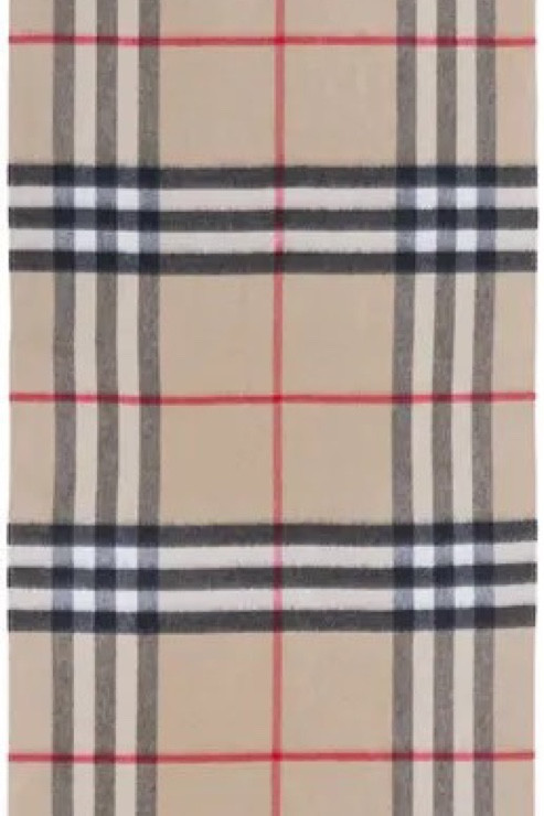 burberry, scarf, burberry scarf, winter, winter accessories, styledbyjacinta, jacinta devlin

#LTKSeasonal #LTKstyletip