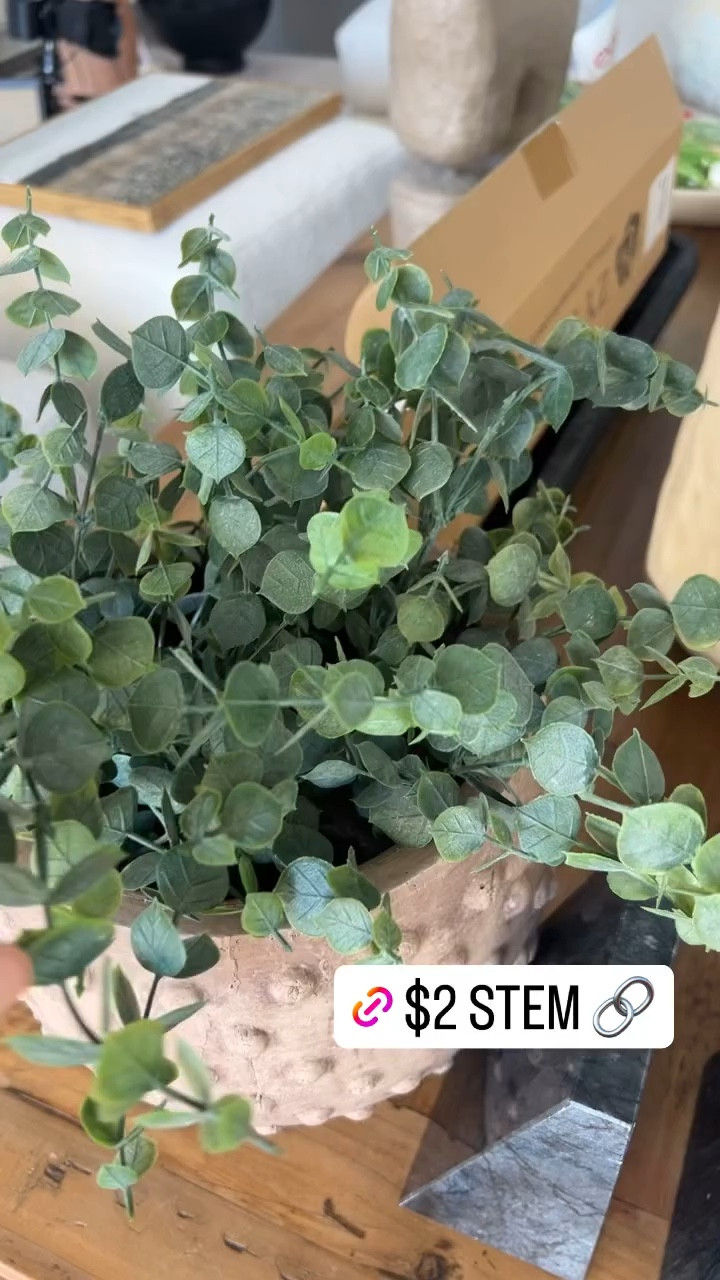 $2 eucalyptus stems from Walmart! Such a good home find.

#LTKhome #LTKsalealert #LTKfindsunder50