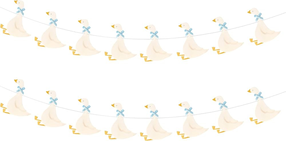 Haooryx Banner Garland Party Decoration - 2Pcs Cute Baby Goose Pre Strung Hanging Banner Sign Kit... | Amazon (US)