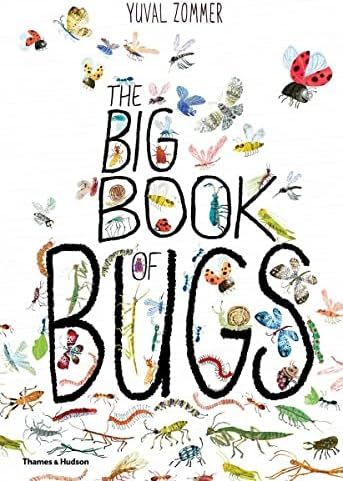 Big Book of Bugs (The Big Book Series) | Amazon (US)