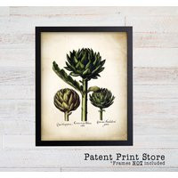 Vintage Artichoke Print. Botanical Besler Art. Antique Prints. Wall Farmhouse Decor. Dining Room 100 | Etsy (US)