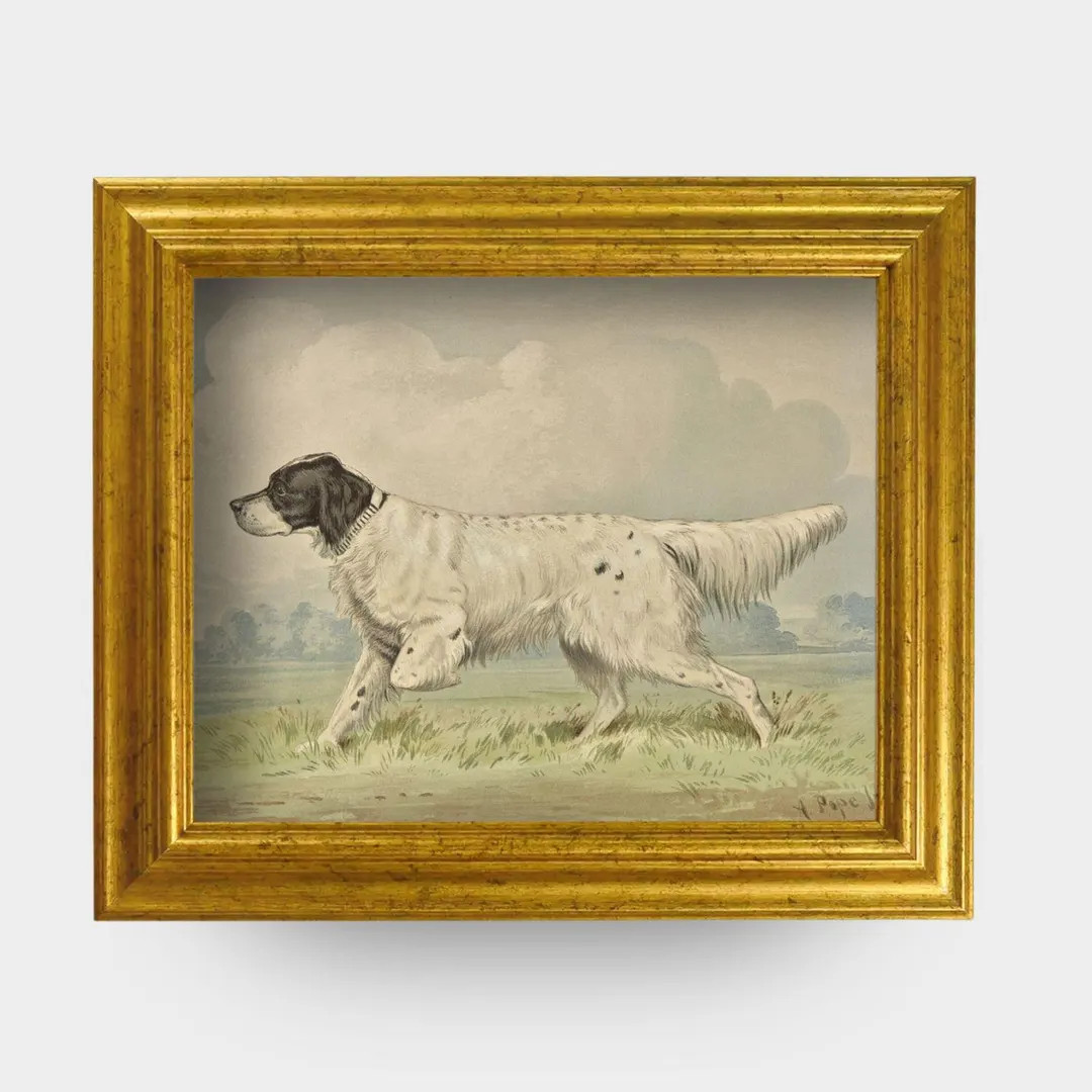 The Field Dog No. 01 - 8x10 Antique Inspired Framed Hunting Spotted Retriever Portrait - Etsy | Etsy (US)