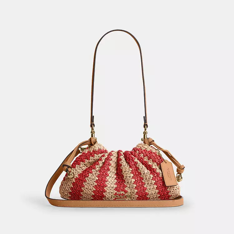 $219 | Coach (US)