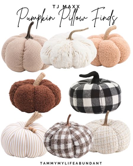 Pumpkin pillows from TJ Maxx

#LTKstyletip #LTKSeasonal #LTKhome