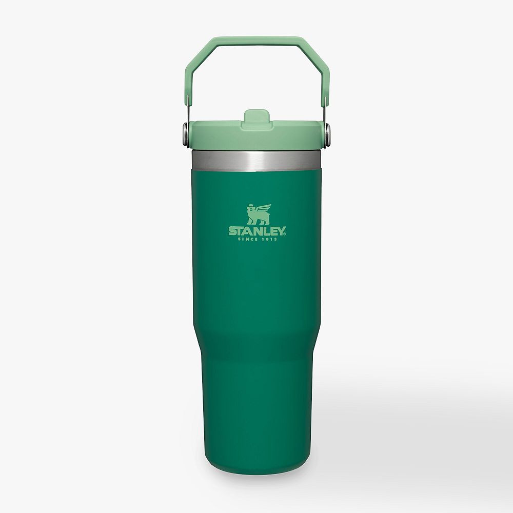 Stanley IceFlow Flip Straw Tumbler, 30oz, Alpine | Pottery Barn Teen